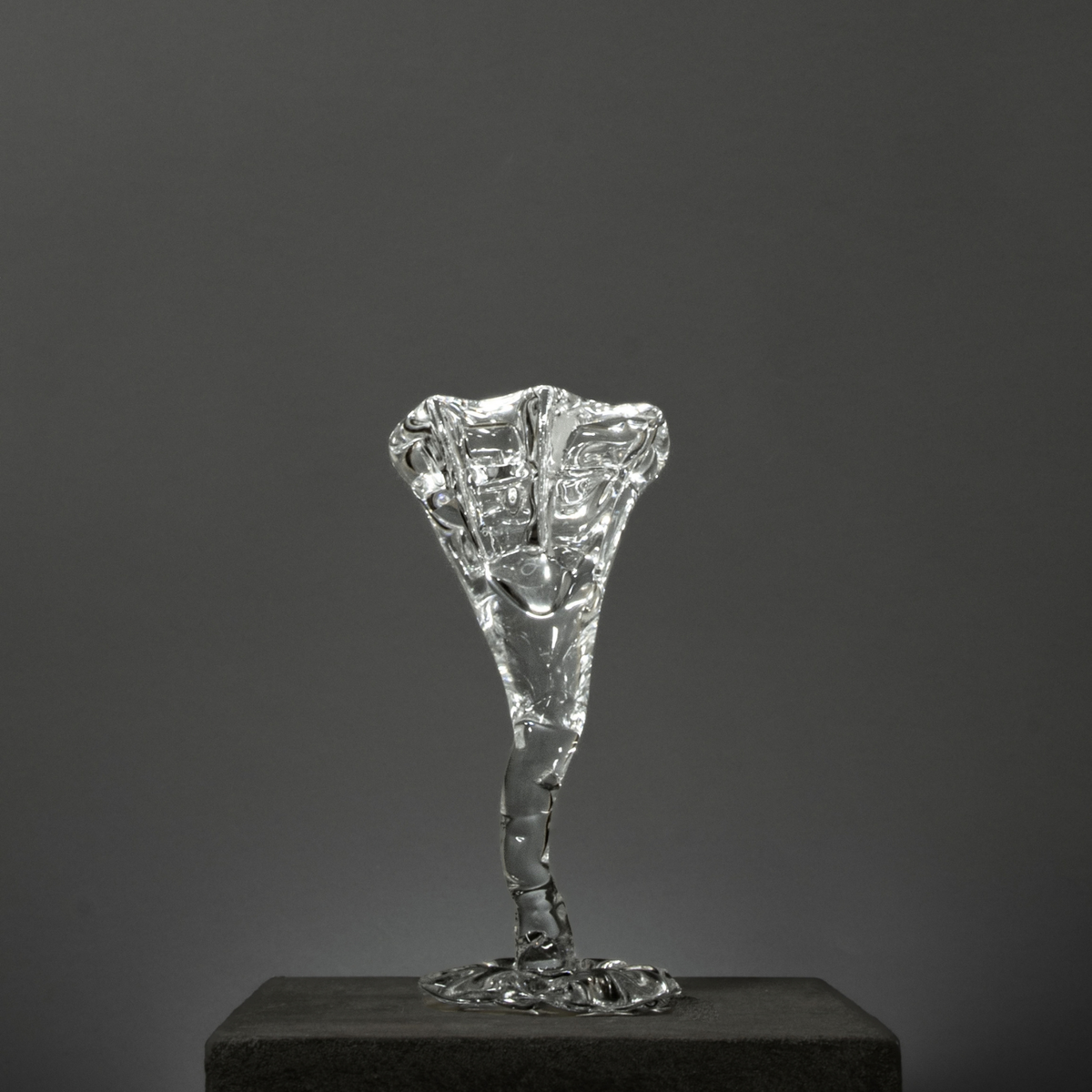 Elysium Glassware set